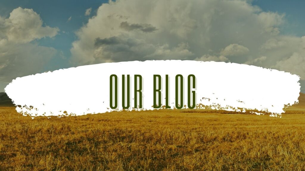 Our Blog